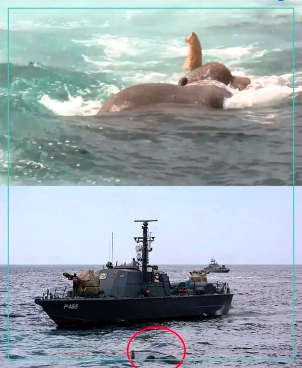 Five miles off the coast of Sri Lanka...